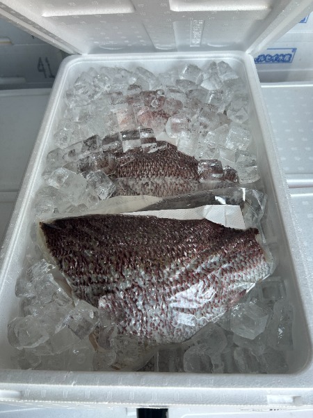 沼津産【冷凍】鯛フィレ真空(皮有り)マダイフィーレ