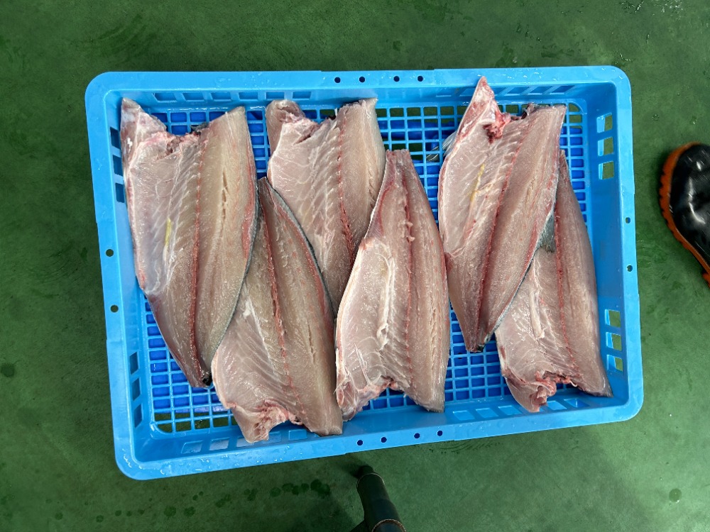 養殖ブリフィレ冷蔵　鰤カマ付真空　刺身・しゃぶしゃぶ・鍋に◎