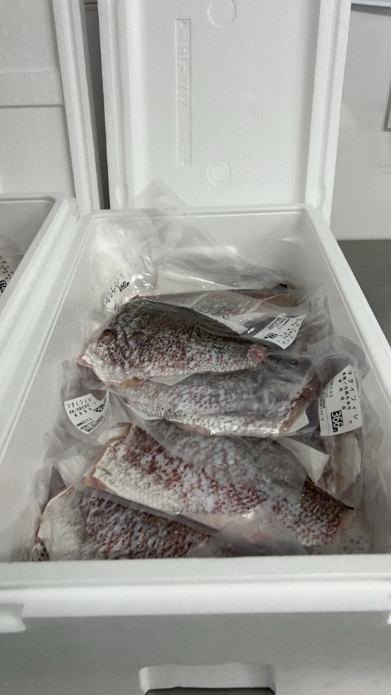 沼津産　真鯛フィレ(腹ホネ除去済)片身真空【冷凍】1枚約300g