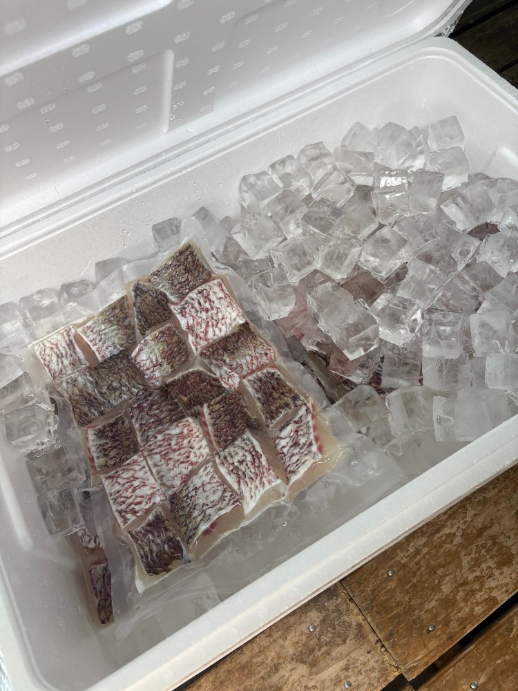 沼津産　鯛ポーションカット30gx10切　冷凍真空100切