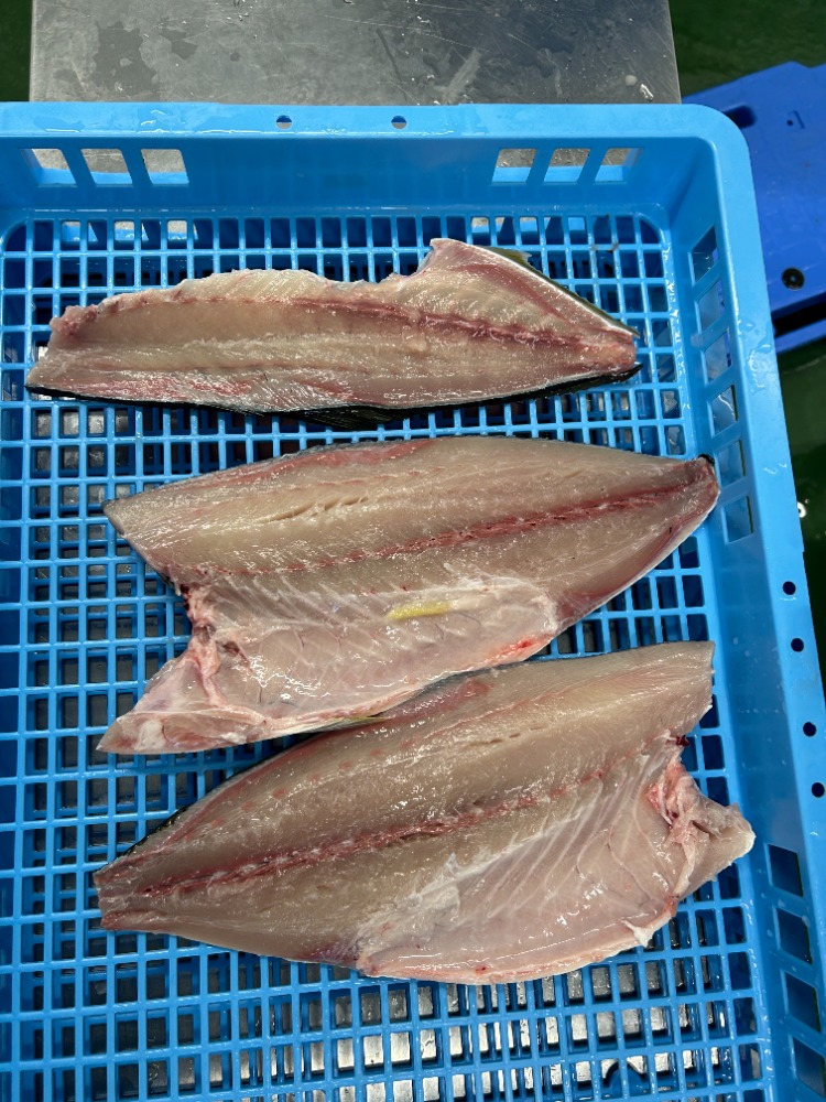 養殖ブリフィレ冷蔵　鰤カマ付真空　刺身・しゃぶしゃぶ・鍋に◎