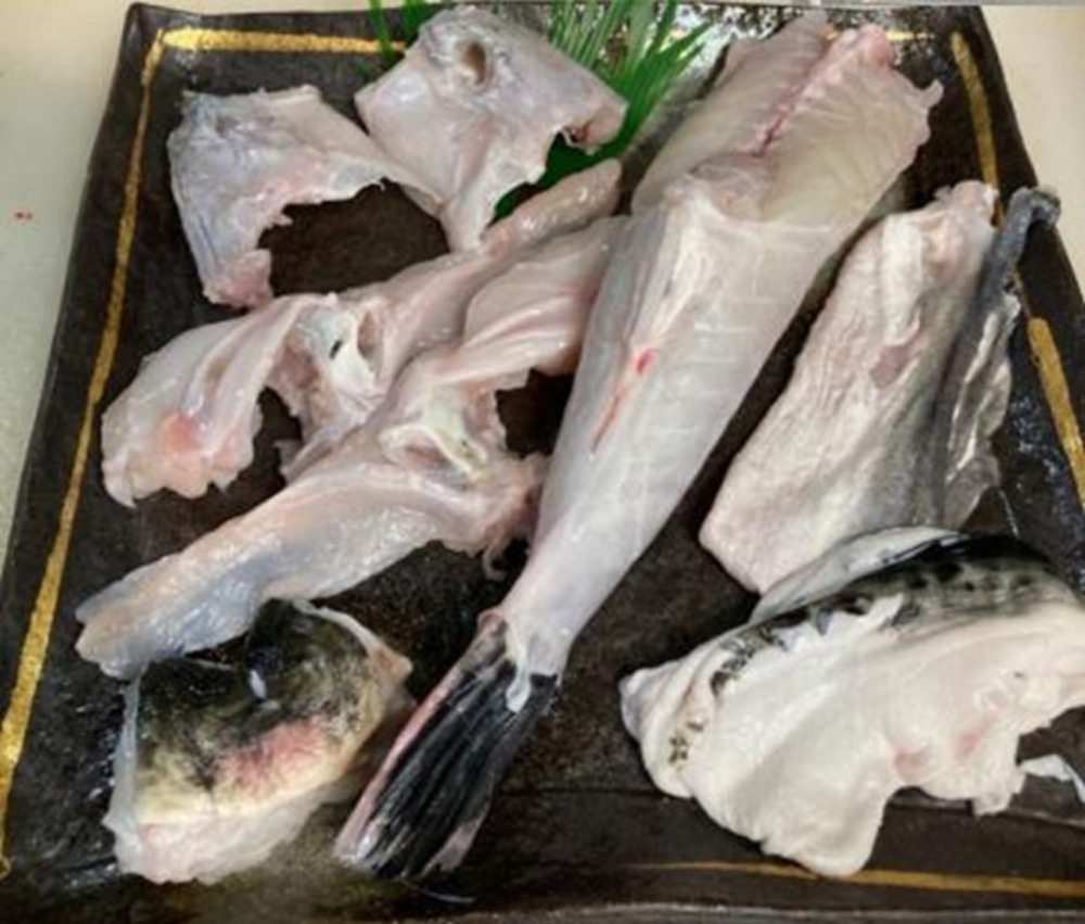 【長崎産・活〆】養殖トラフグ身欠き1尾真空（約600g）チルド