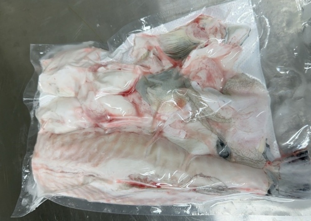 【長崎産・活〆】養殖トラフグ身欠き1尾真空（約600g）チルド