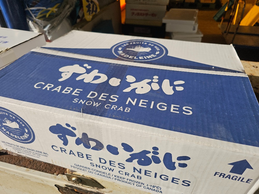 カナダ産　ボイルズワイガニ　L　13.6ｋ　オピリオ種