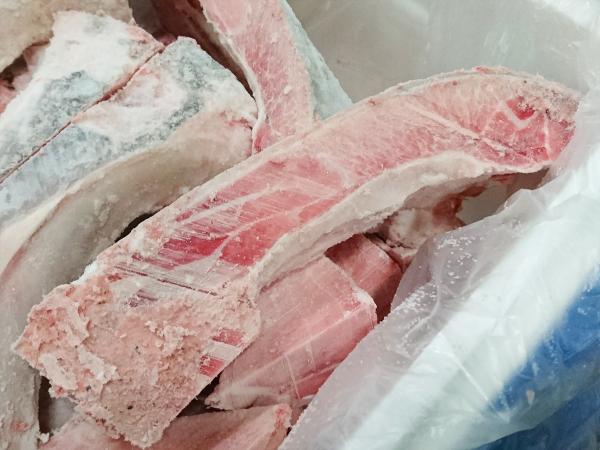 めばちマグロカマ　5kg　めばちカマ　ＢＢＱ