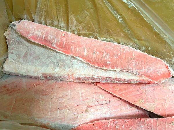 めばちまぐろハラモ　5kg　お刺身　目鉢鮪