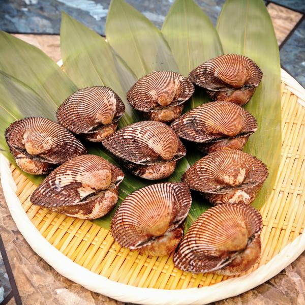 赤貝　むき身大　7玉（殻付6-8/kgサイズ）輸入元直売
