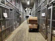 �X�܎ʐ^�E���S