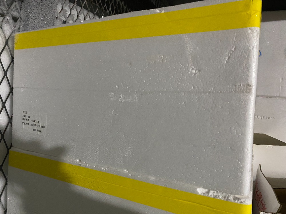 天然無頭ホワイトタイガー