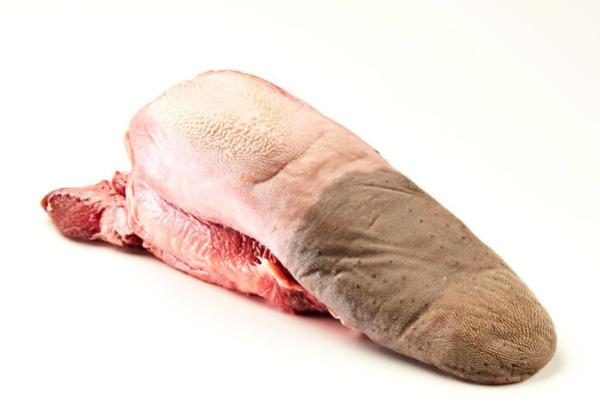 �y�����ʁz��t�����^���i�Ⓚ�j���X�J���l