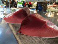 �X�܎ʐ^�E���S