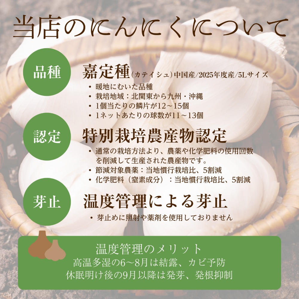 2025年度産　特栽にんにく（5L）　1kgx10ネット　中国産