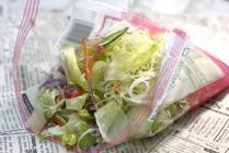 �X�܎ʐ^�E���S