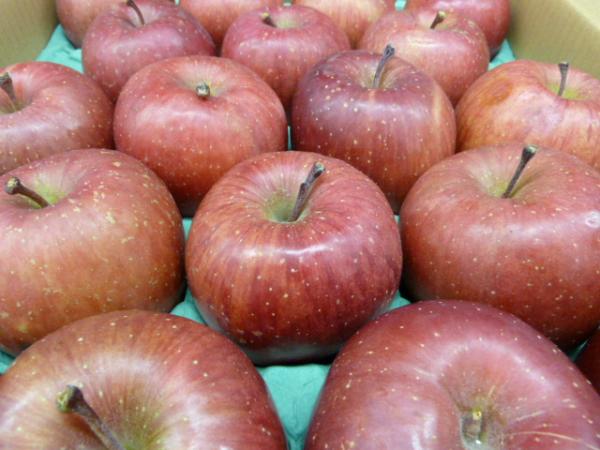 青森県産　りんご　サンふじ加工品