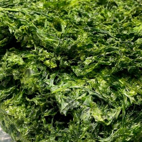 伊勢志摩産　あおさ（水優）100ｇ入