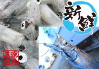 �X�܎ʐ^�E���S