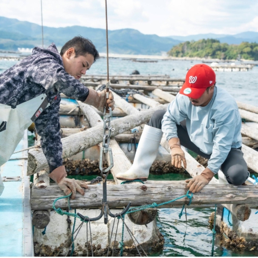 ［岩手県陸前高田産］生食用殻付き牡蠣　生牡蠣（約150g〜200g）