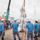 �X�܎ʐ^�E���S