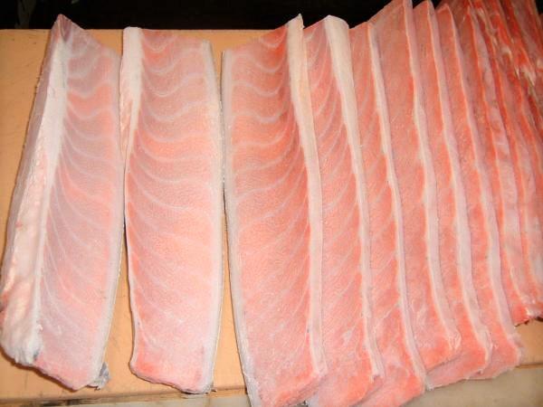 ★最高級★　蓄養本鮪　腹1番　カワラ★