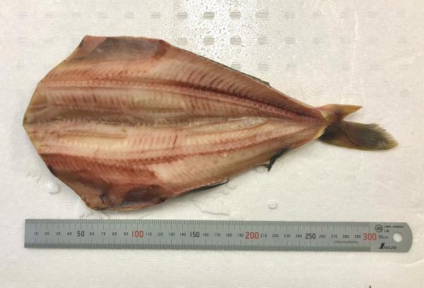 【丸安】縞ほっけ　370ｇ前後