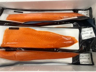 お刺身サーモン3kg入 トラウトサーモン 仕入れなら業務用食材卸売市場mマート