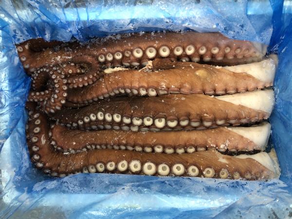 【新商品】【新商品】水タコ足10kg8本　1本1.25kg前後（B0453）