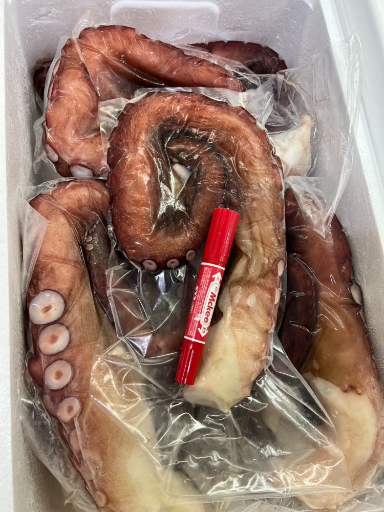 ブランチボイル　タコ足パック　B0831