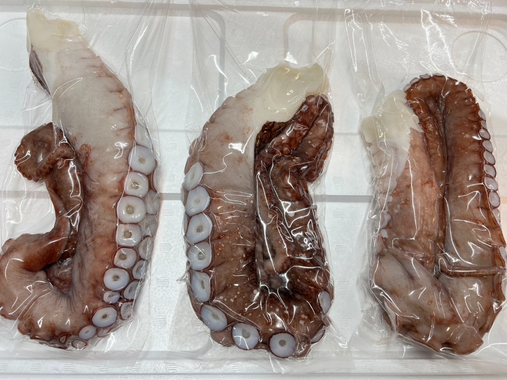 【不定貫】生冷　水タコ　刺身用/調理用　北海道産　B0893