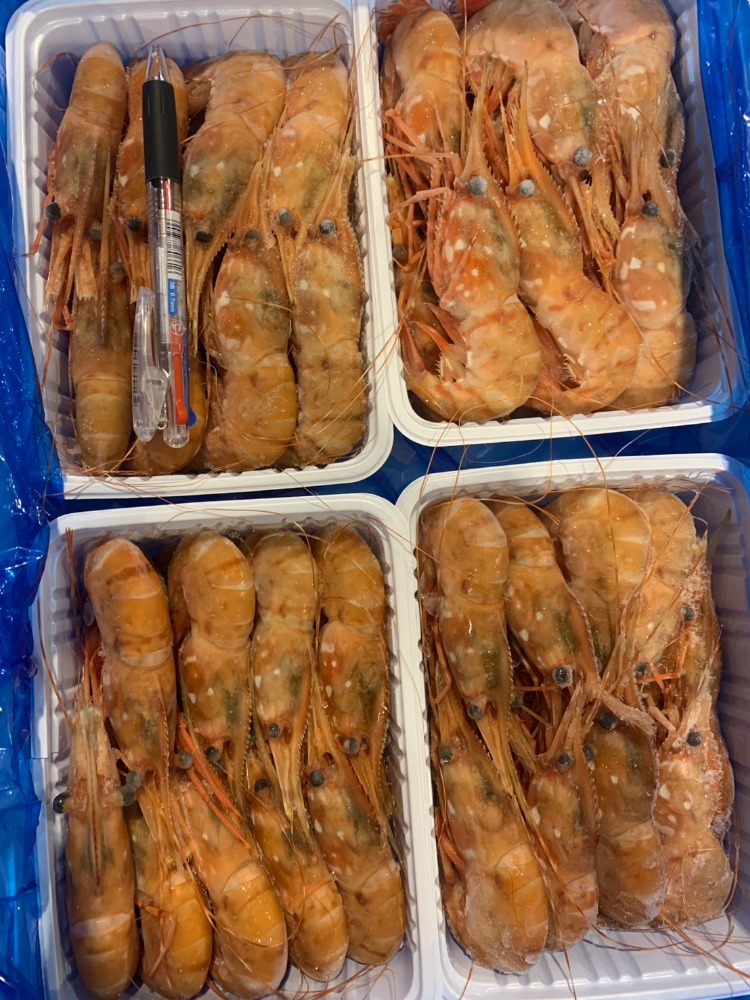 北海道産　ボタンエビ500g　大サイズ1P15〜18尾入　(A0611)