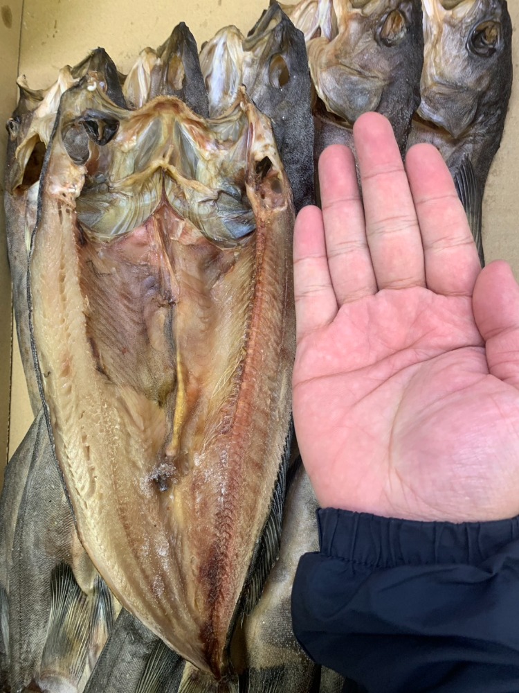 北海道真ホッケ開き(ワケアリ)　A0288