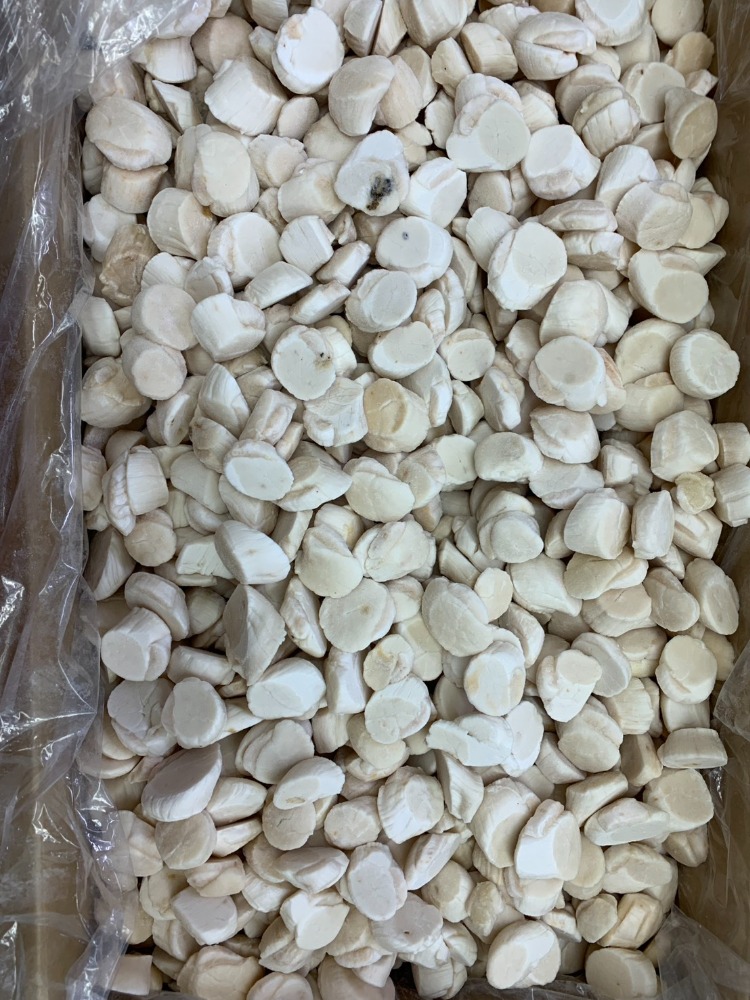 ほたて貝柱バルク　訳アリ　20kg　(A0768)