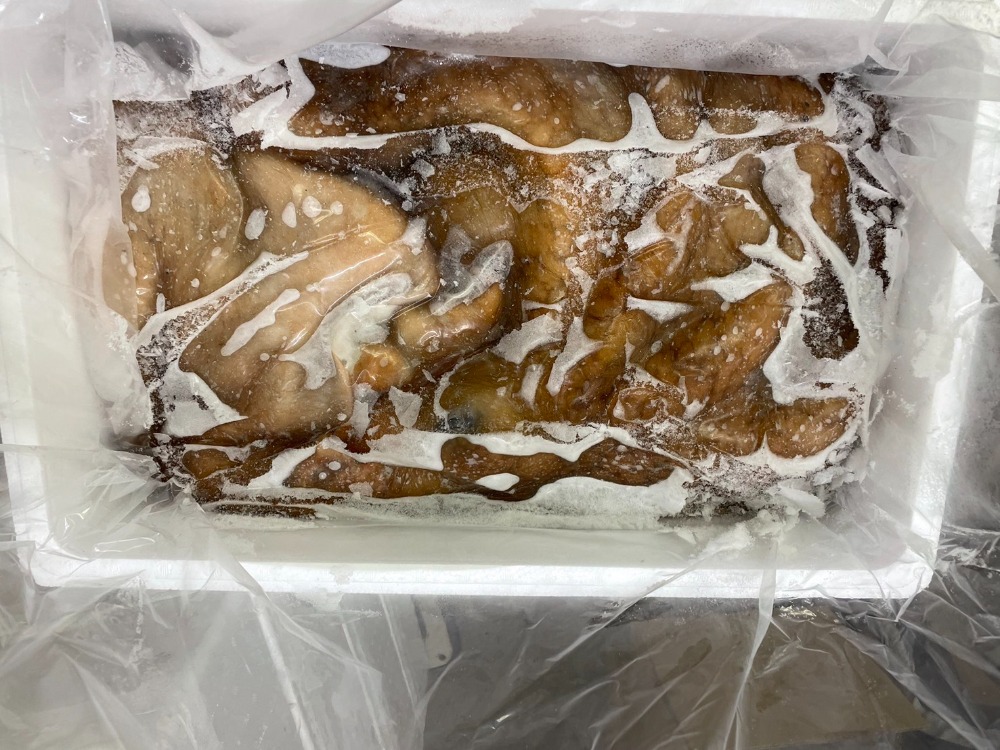 水タコ姿　内臓無　1杯10kg以下サイズ　B0444