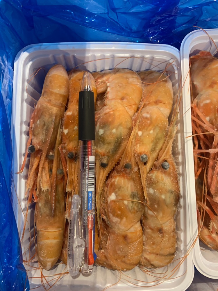 北海道産　ボタンエビ500g　大サイズ1P15〜18尾入　(A0611)