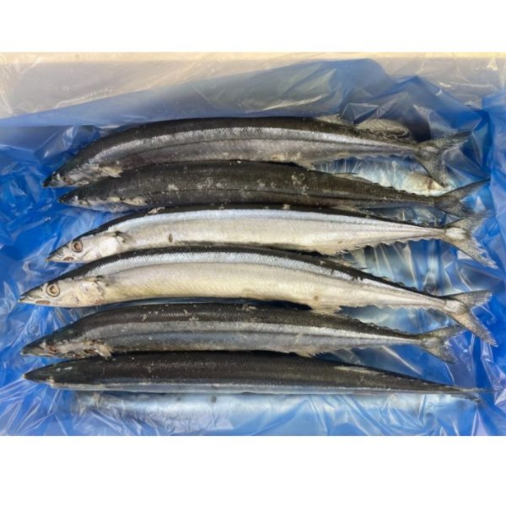 新物　冷凍　秋刀魚4kg21-25尾前後（北海道産）B0862