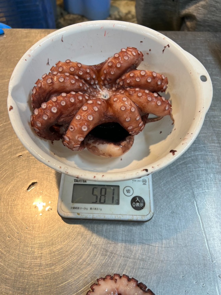 ボイル水タコ姿　内臓無　1杯3kg以下サイズ（A0805）