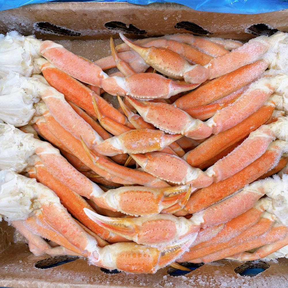 �y�����ʁz�y2025�N�z�y�J�i�_�Y�z�{�C�����킢�I�@�R�k�R����