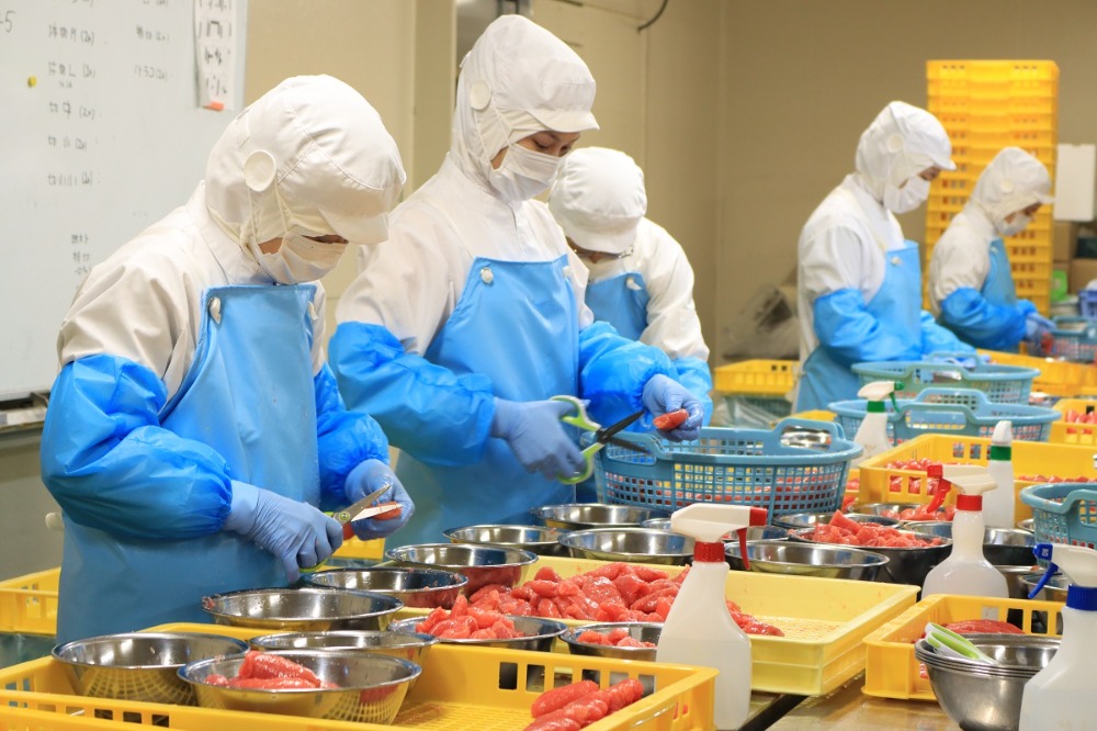 辛子明太子　切れ子　500gx1パック