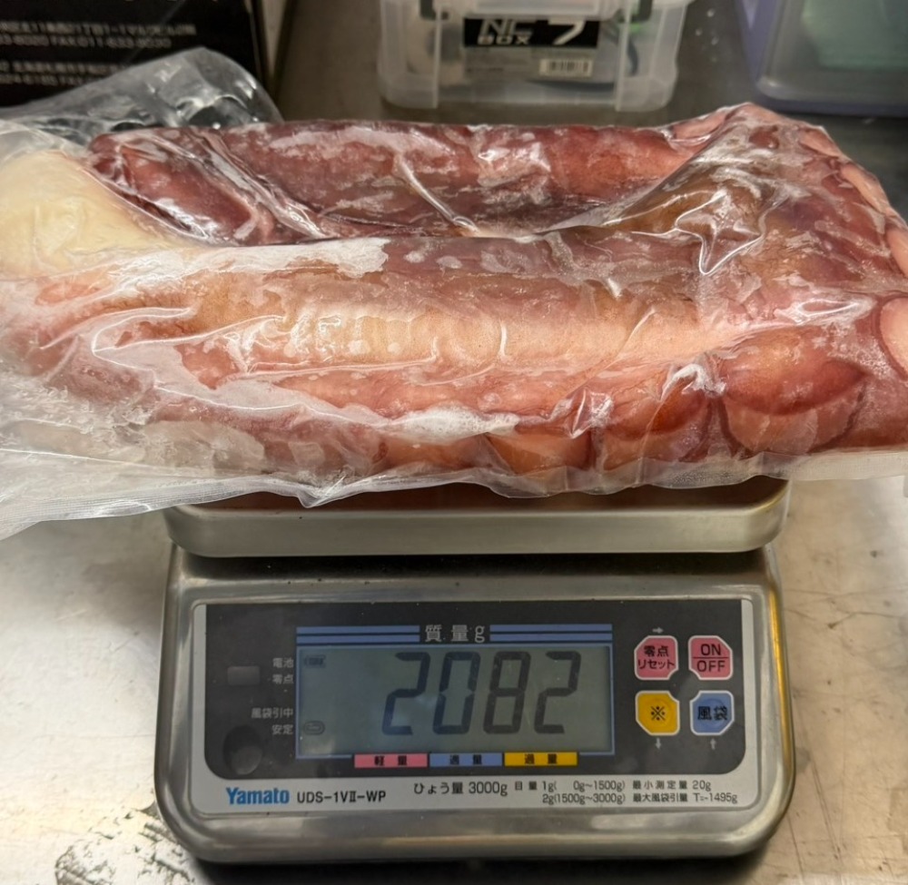 ブランチタコ足（生食可能・冷凍真空）　800g〜2kg/１本