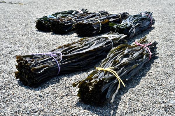 長芋昆布巻き　中巻　2本入　本/Φ約2.5cmx長さ約24cm