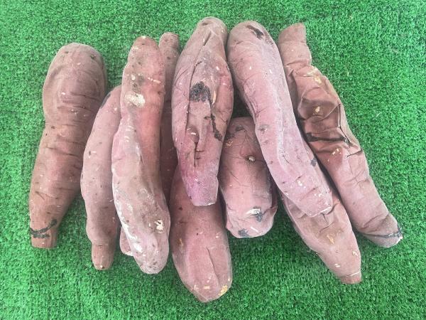 焼き芋アイス　紅はるか　蜜芋　1ｋｇ新潟産　冷凍　さつまいも