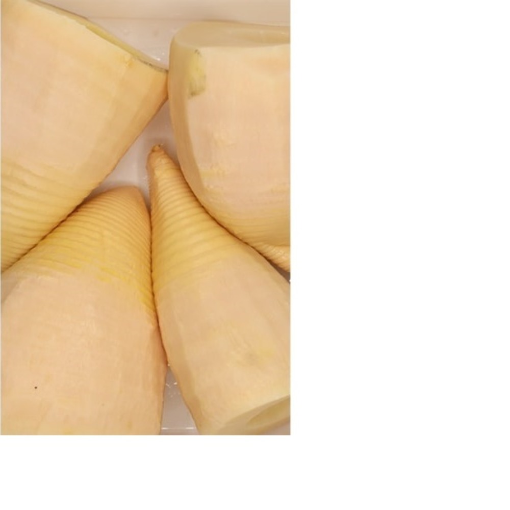 竹の子筒B大1缶　１0〜１５玉