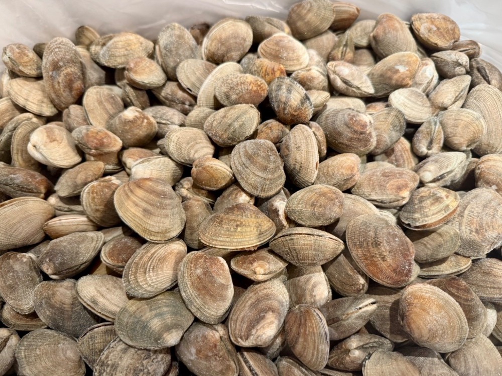 貝類-あさり｜仕入れなら業務用食材卸売市場Mマート