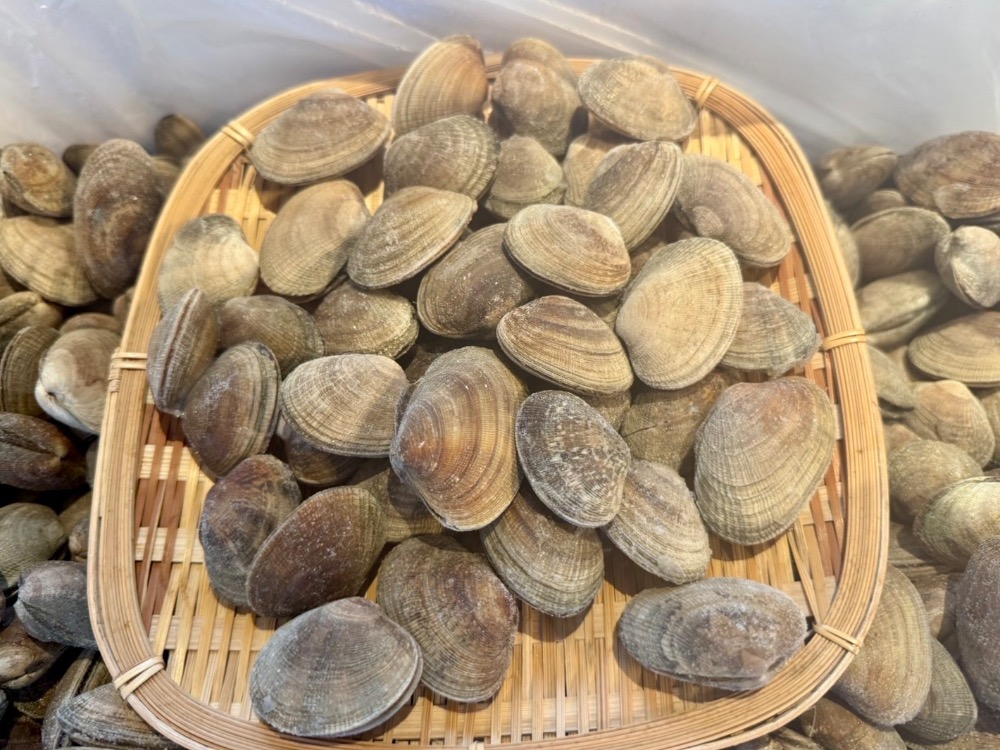 北海道産　殼付き冷凍あさり　10kg