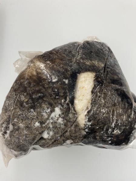 和牛交雑牛　ヤン