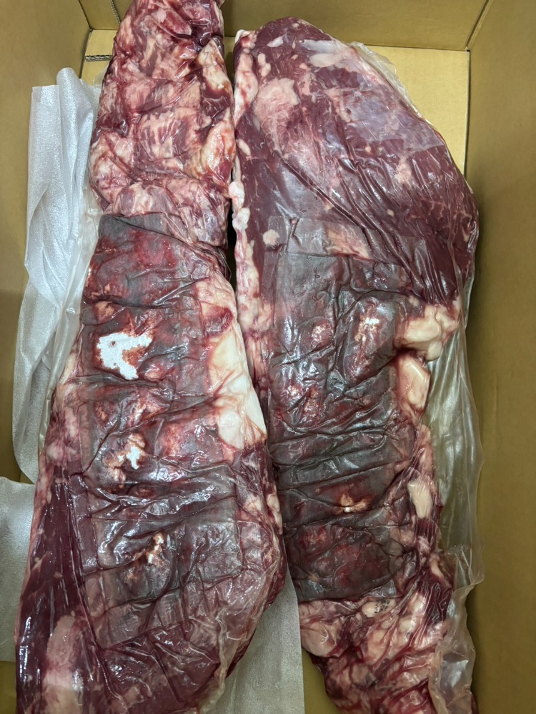 国産牛ヒレ　（ホル経）チルド冷蔵　