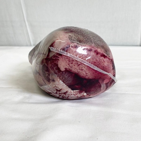 【皮付き牛タン】US　皮付き牛タン　（黒毛）　チルド冷蔵