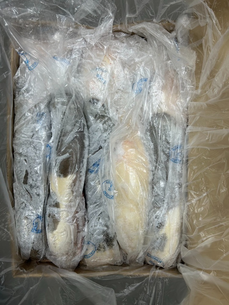 AUS産　皮付き牛タン　10本ケース販売　グリーンハム