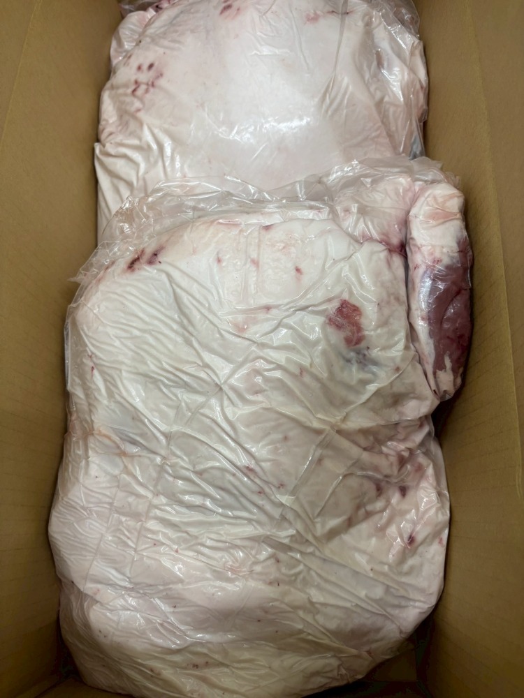 穀うま豚モモ　冷蔵　ケース販売　国産ブランド