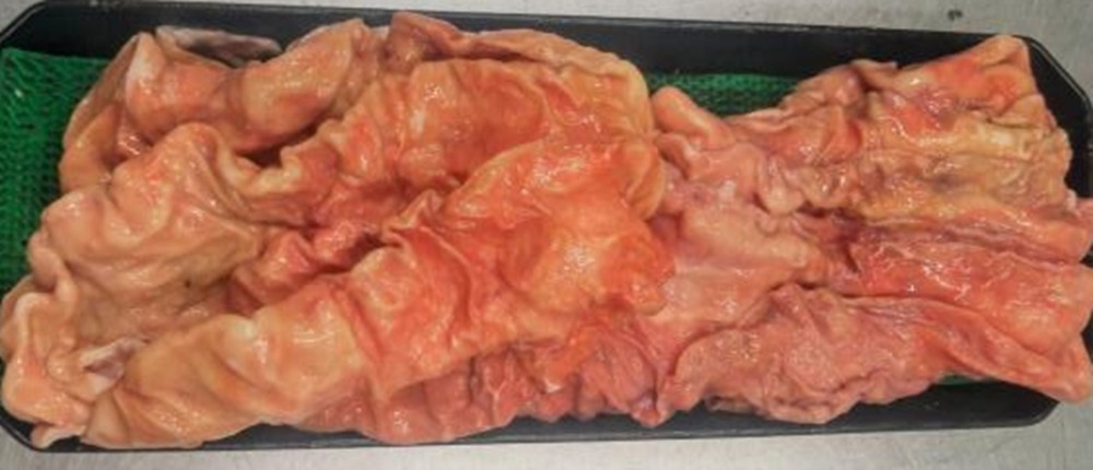 ���Y���@�ԃZ���}�C�i�x���j�i�Ⓚ�j��1kg