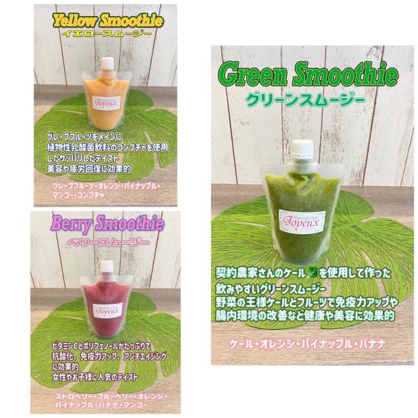 冷凍スムージーパウチパック【内容量350ｇx3本入りセット】